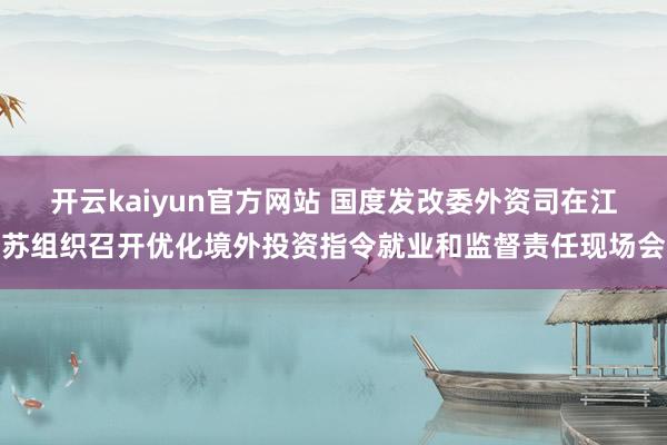 开云kaiyun官方网站 国度发改委外资司在江苏组织召开优化境外投资指令就业和监督责任现场会