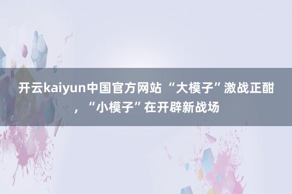 开云kaiyun中国官方网站 “大模子”激战正酣，“小模子”在开辟新战场