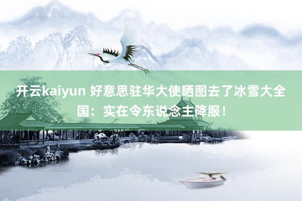 开云kaiyun 好意思驻华大使晒图去了冰雪大全国：实在令东说念主降服！