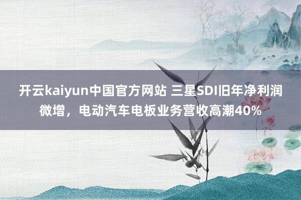 开云kaiyun中国官方网站 三星SDI旧年净利润微增，电动汽车电板业务营收高潮40%
