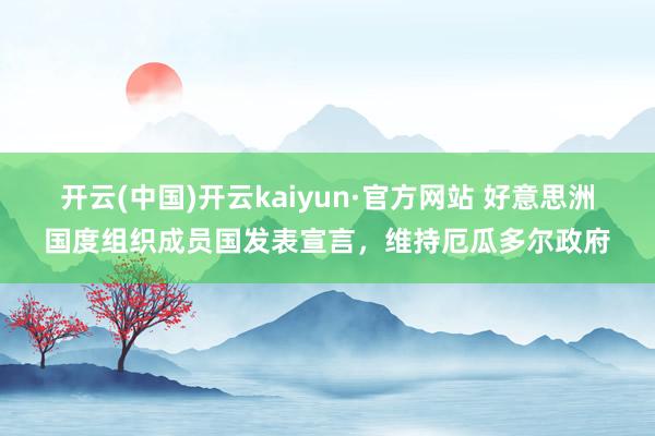 开云(中国)开云kaiyun·官方网站 好意思洲国度组织成员国发表宣言，维持厄瓜多尔政府