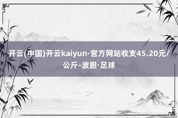 开云(中国)开云kaiyun·官方网站收支45.20元/公斤-波胆·足球