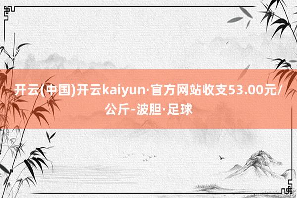 开云(中国)开云kaiyun·官方网站收支53.00元/公斤-波胆·足球