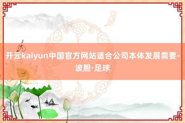 开云kaiyun中国官方网站适合公司本体发展需要-波胆·足球