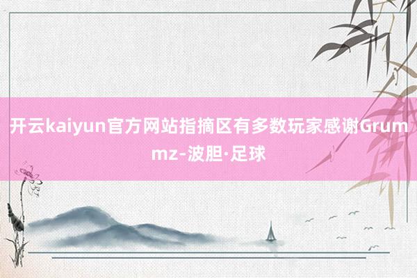 开云kaiyun官方网站指摘区有多数玩家感谢Grummz-波胆·足球