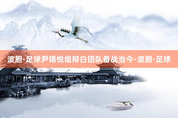 波胆·足球尹锡悦组辩白团队备战当今-波胆·足球