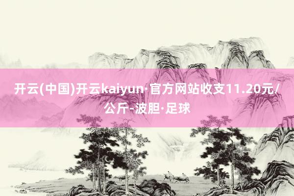 开云(中国)开云kaiyun·官方网站收支11.20元/公斤-波胆·足球