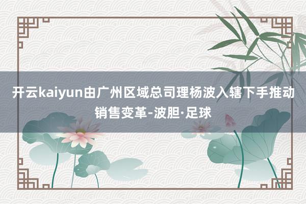 开云kaiyun由广州区域总司理杨波入辖下手推动销售变革-波胆·足球