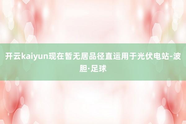 开云kaiyun现在暂无居品径直运用于光伏电站-波胆·足球