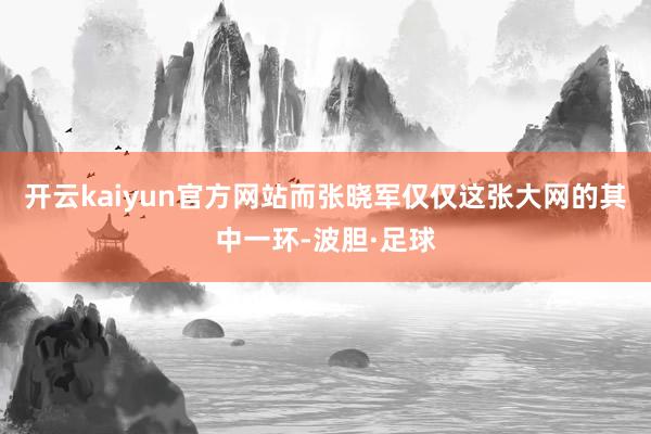 开云kaiyun官方网站而张晓军仅仅这张大网的其中一环-波胆·足球
