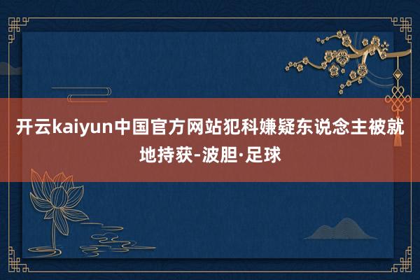 开云kaiyun中国官方网站犯科嫌疑东说念主被就地持获-波胆·足球
