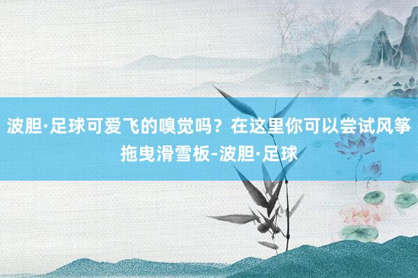 波胆·足球可爱飞的嗅觉吗？在这里你可以尝试风筝拖曳滑雪板-波胆·足球