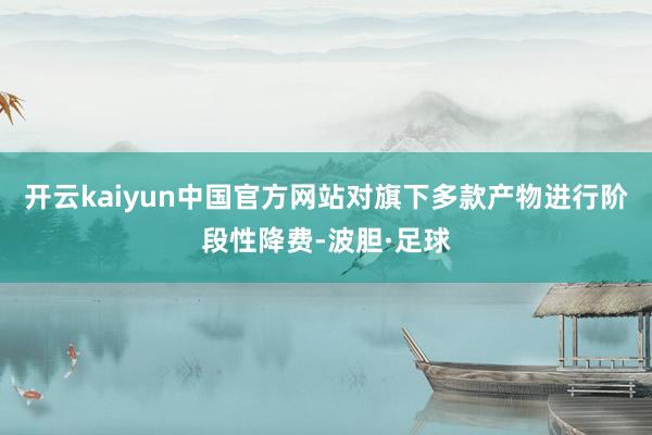 开云kaiyun中国官方网站对旗下多款产物进行阶段性降费-波胆·足球