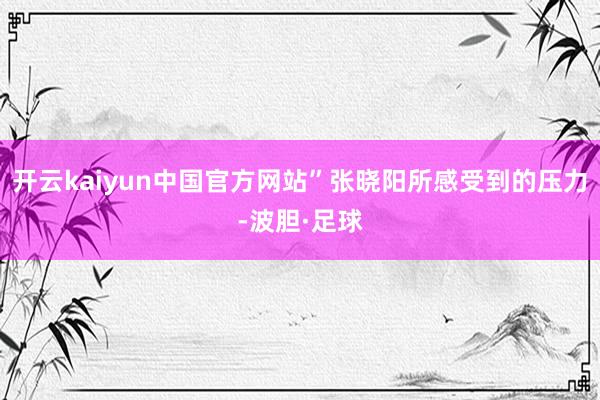 开云kaiyun中国官方网站”张晓阳所感受到的压力-波胆·足球