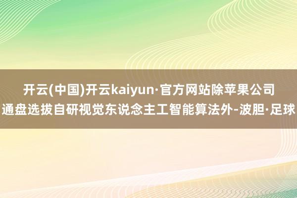开云(中国)开云kaiyun·官方网站除苹果公司通盘选拔自研视觉东说念主工智能算法外-波胆·足球