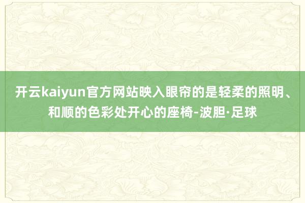 开云kaiyun官方网站映入眼帘的是轻柔的照明、和顺的色彩处开心的座椅-波胆·足球