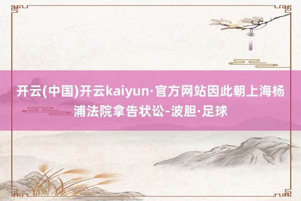 开云(中国)开云kaiyun·官方网站因此朝上海杨浦法院拿告状讼-波胆·足球