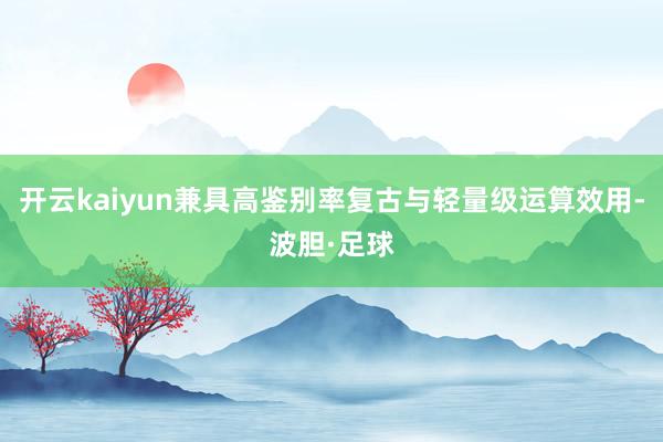 开云kaiyun兼具高鉴别率复古与轻量级运算效用-波胆·足球