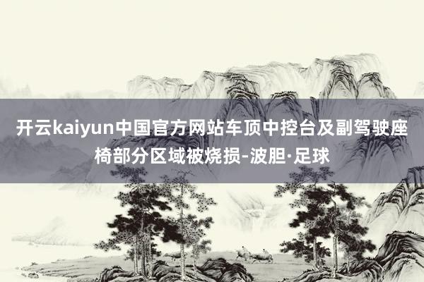 开云kaiyun中国官方网站车顶中控台及副驾驶座椅部分区域被烧损-波胆·足球