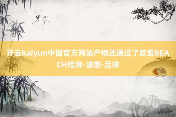 开云kaiyun中国官方网站产物还通过了欧盟REACH检测-波胆·足球