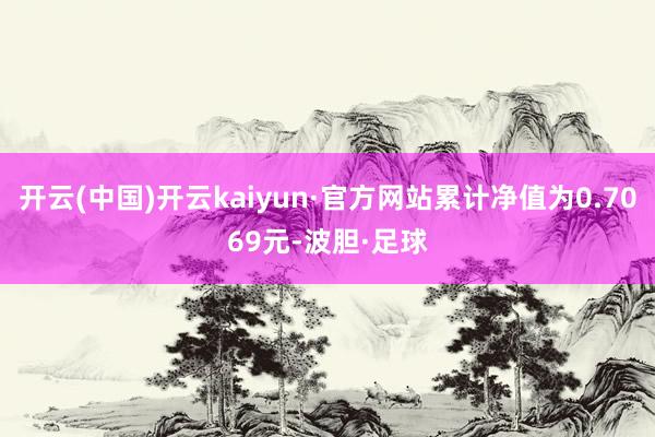 开云(中国)开云kaiyun·官方网站累计净值为0.7069元-波胆·足球