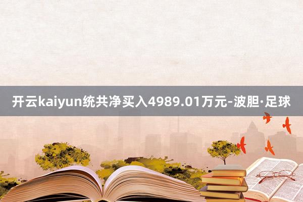 开云kaiyun统共净买入4989.01万元-波胆·足球