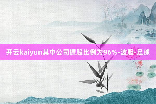 开云kaiyun其中公司握股比例为96%-波胆·足球