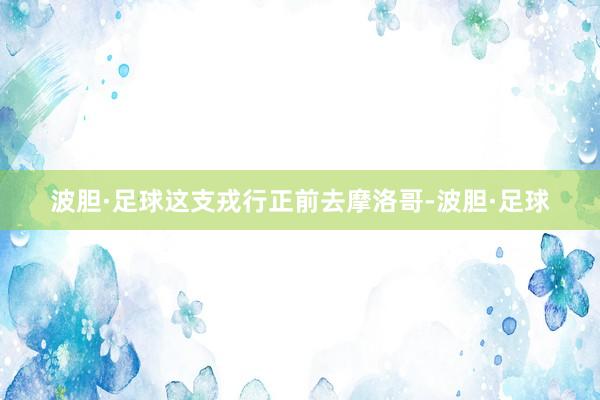波胆·足球这支戎行正前去摩洛哥-波胆·足球
