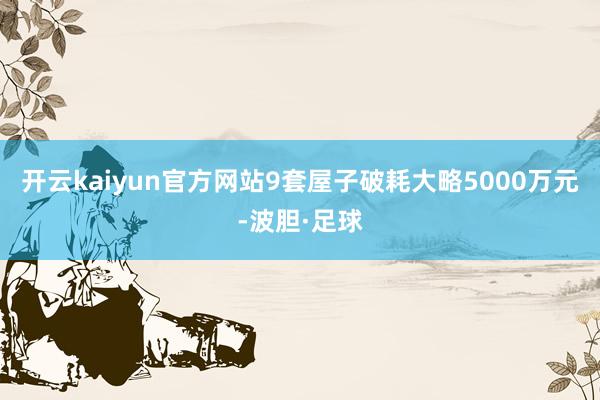 开云kaiyun官方网站9套屋子破耗大略5000万元-波胆·足球