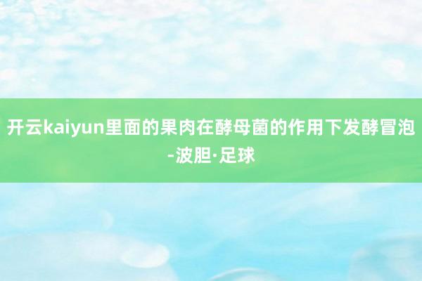 开云kaiyun里面的果肉在酵母菌的作用下发酵冒泡-波胆·足球