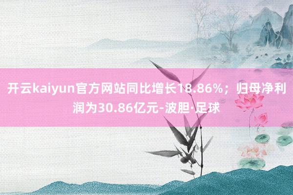 开云kaiyun官方网站同比增长18.86%；归母净利润为30.86亿元-波胆·足球