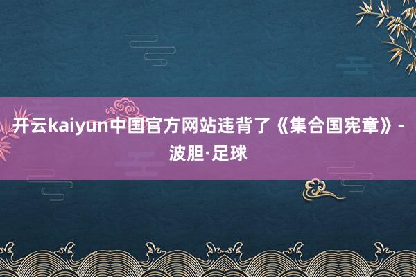 开云kaiyun中国官方网站违背了《集合国宪章》-波胆·足球