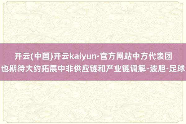 开云(中国)开云kaiyun·官方网站中方代表团也期待大约拓展中非供应链和产业链调解-波胆·足球