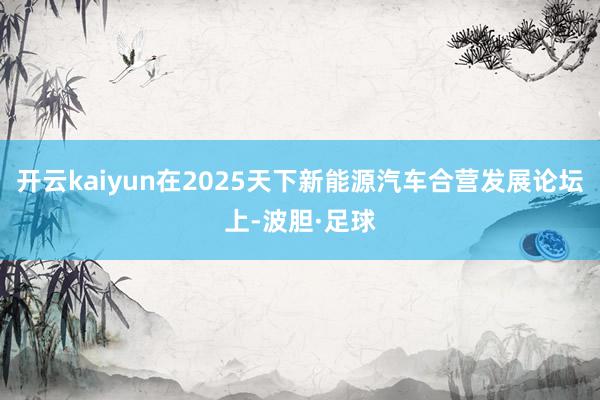 开云kaiyun在2025天下新能源汽车合营发展论坛上-波胆·足球