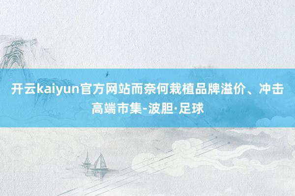 开云kaiyun官方网站而奈何栽植品牌溢价、冲击高端市集-波胆·足球
