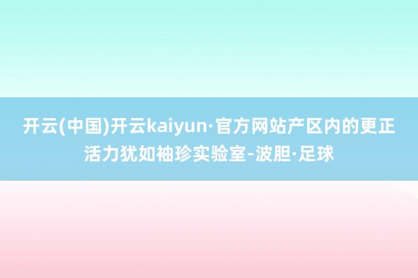 开云(中国)开云kaiyun·官方网站产区内的更正活力犹如袖珍实验室-波胆·足球