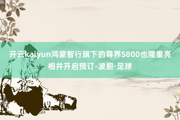 开云kaiyun鸿蒙智行旗下的尊界S800也隆重亮相并开启预订-波胆·足球