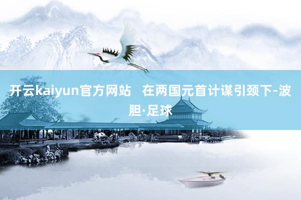 开云kaiyun官方网站   在两国元首计谋引颈下-波胆·足球