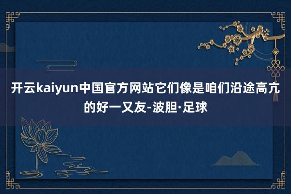 开云kaiyun中国官方网站它们像是咱们沿途高亢的好一又友-波胆·足球