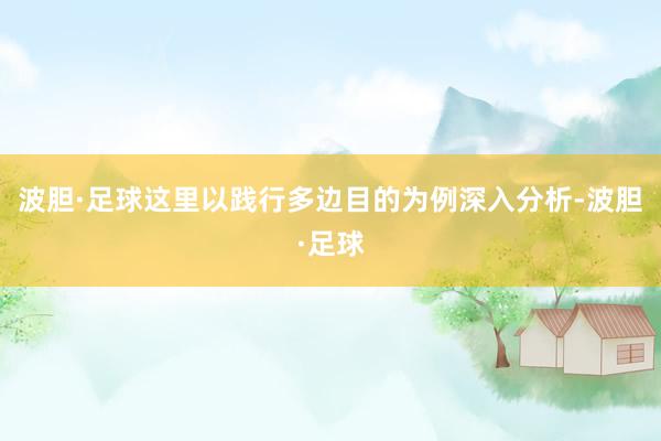 波胆·足球　　这里以践行多边目的为例深入分析-波胆·足球
