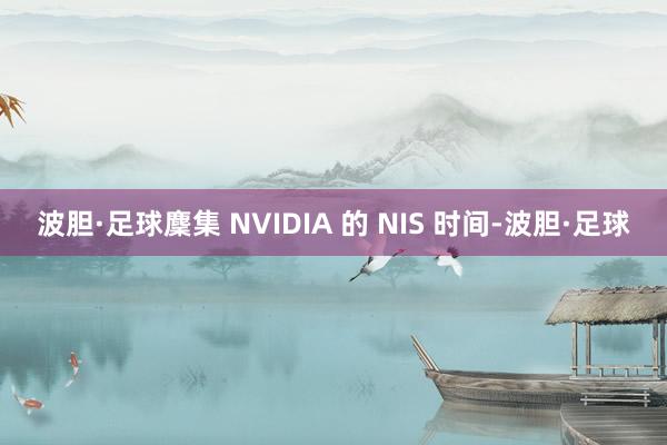波胆·足球麇集 NVIDIA 的 NIS 时间-波胆·足球