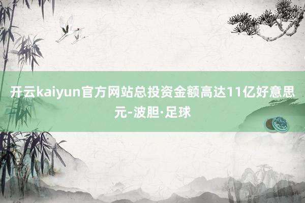开云kaiyun官方网站总投资金额高达11亿好意思元-波胆·足球