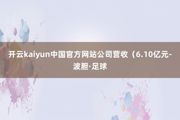开云kaiyun中国官方网站公司营收(6.10亿元-波胆·足球