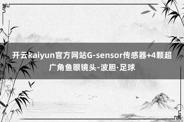 开云kaiyun官方网站G-sensor传感器+4颗超广角鱼眼镜头-波胆·足球
