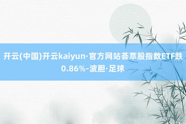 开云(中国)开云kaiyun·官方网站荟萃股指数ETF跌0.86%-波胆·足球