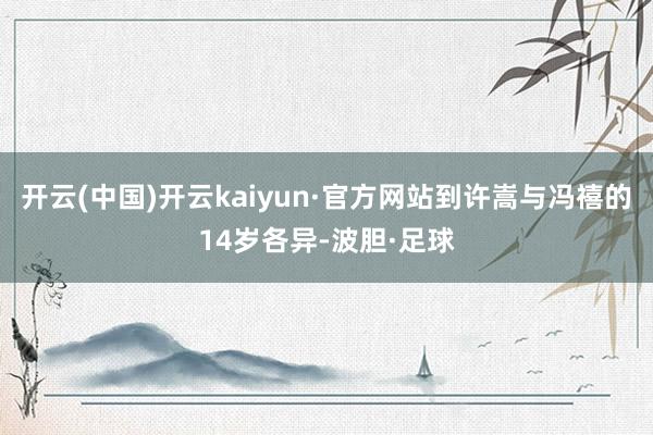 开云(中国)开云kaiyun·官方网站到许嵩与冯禧的14岁各异-波胆·足球