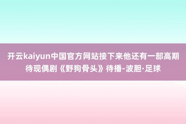 开云kaiyun中国官方网站接下来他还有一部高期待现偶剧《野狗骨头》待播-波胆·足球