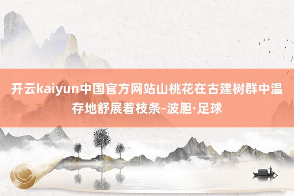 开云kaiyun中国官方网站山桃花在古建树群中温存地舒展着枝条-波胆·足球
