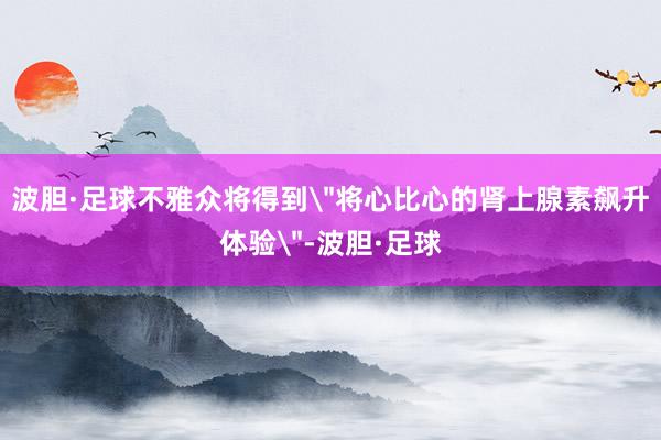 波胆·足球不雅众将得到