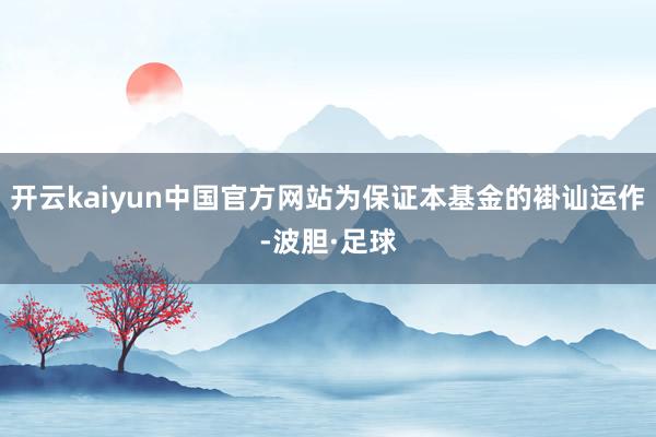 开云kaiyun中国官方网站为保证本基金的褂讪运作-波胆·足球